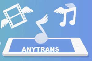 license code for anytrans