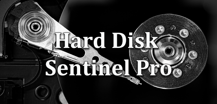 download hard disk sentinel full crack